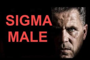 sigma male la gi